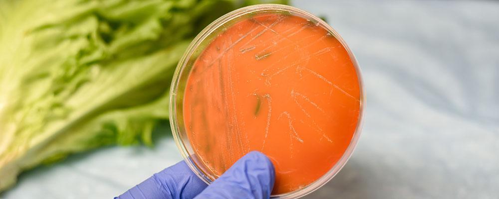 Chicago listeria poisoning attorney