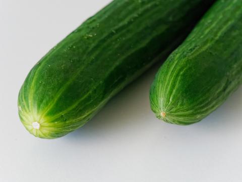 Hundreds Fall Ill After Eating Imported Cucumbers