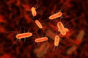 Chicago E. coli injury attorney