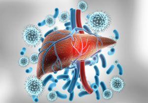 Chicago Hepatitis A foodborne illness attorney