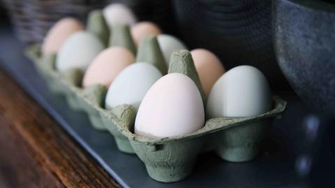 Egg-Linked Salmonella Outbreak Continues to Sicken Victims