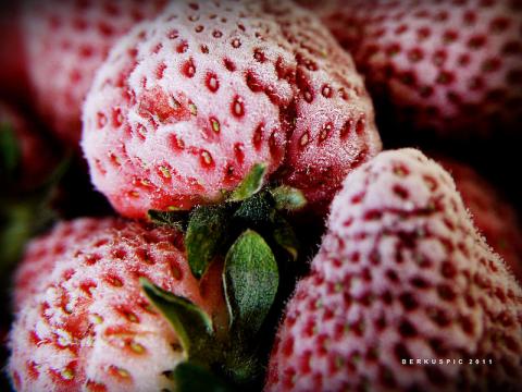 Hepatitis A Outbreak is Linked to Frozen Strawberries by the FDA