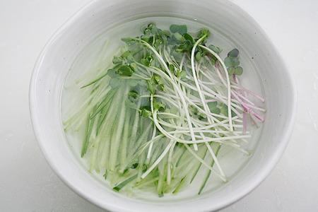 Food Poisoning Risks of Consuming Raw Sprouts