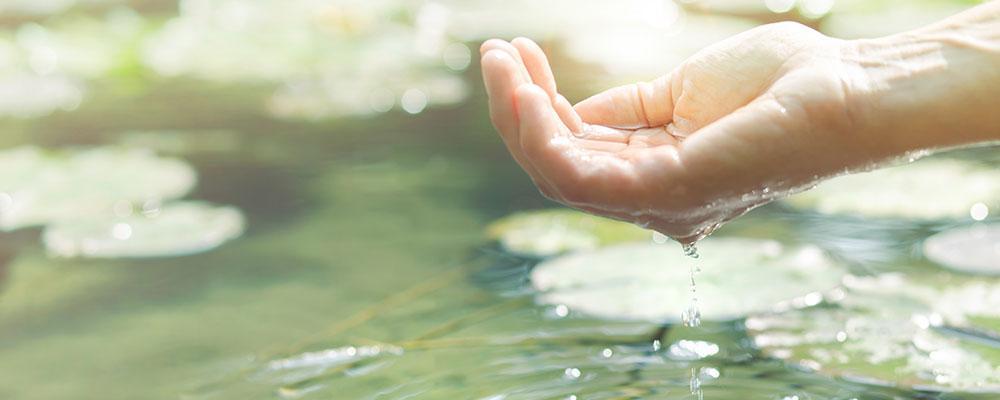 Giardia water treatment